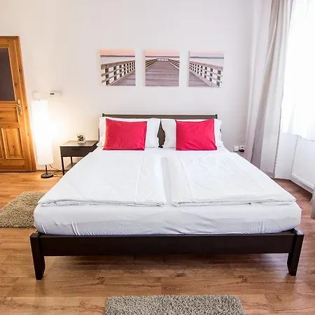 Apartament Tylova *