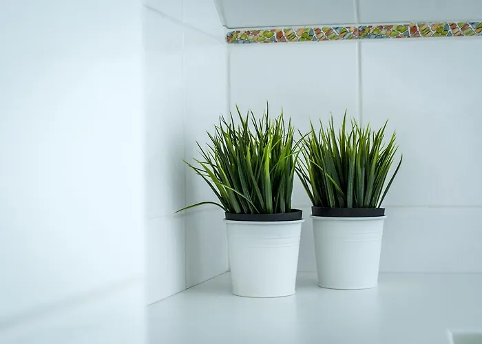 Apartman Tylova Kutná Hora